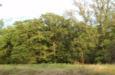 31015 Memorial Rd, Mcloud, OK 74851 photo 5