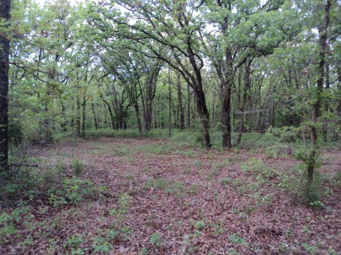 31015 Memorial Rd, Mcloud, OK 74851 photo 14