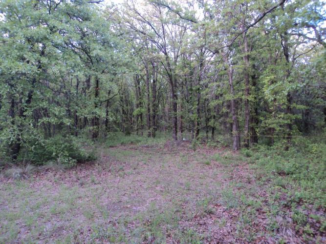 31015 Memorial Rd, Mcloud, OK 74851 photo 15