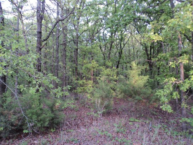 31015 Memorial Rd, Mcloud, OK 74851 photo 3
