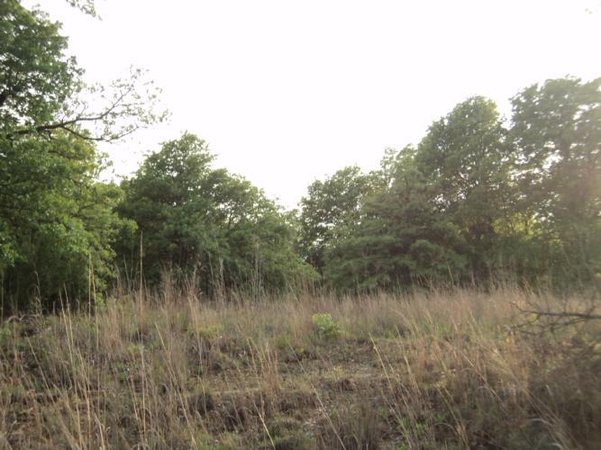 31015 Memorial Rd, Mcloud, OK 74851 photo 1