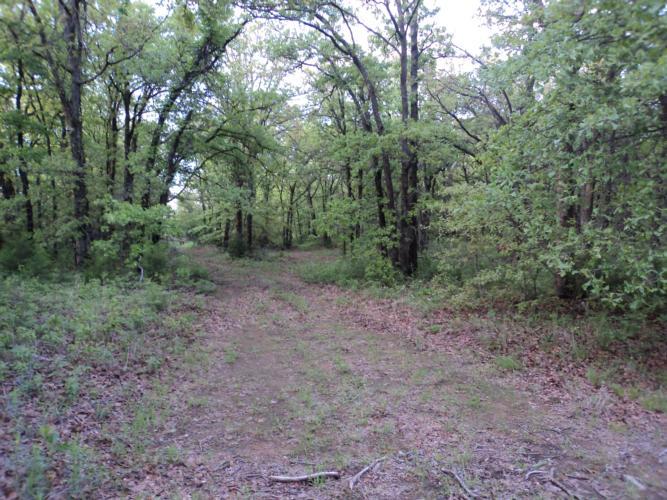 31015 Memorial Rd, Mcloud, OK 74851 photo 12