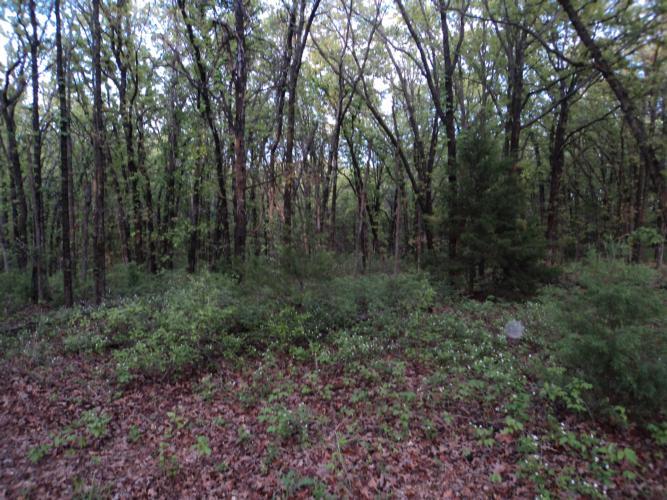 31015 Memorial Rd, Mcloud, OK 74851 photo 10