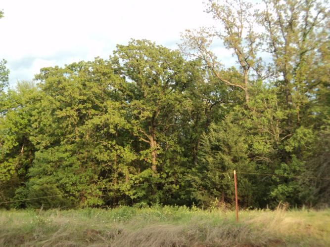 31015 Memorial Rd, Mcloud, OK 74851 photo 6