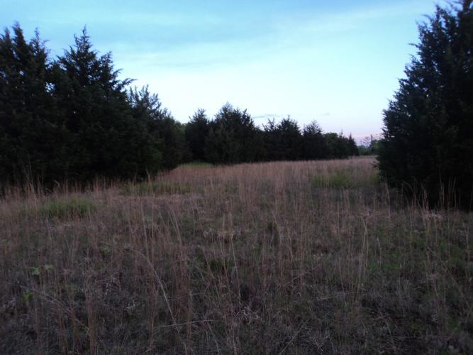 31177 Memorial Rd, Mcloud, OK 74851 photo 7