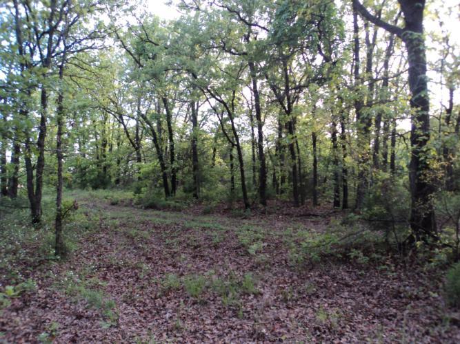 31177 Memorial Rd, Mcloud, OK 74851 photo 20