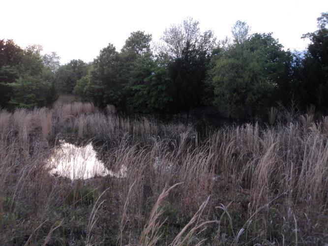 31177 Memorial Rd, Mcloud, OK 74851 photo 5
