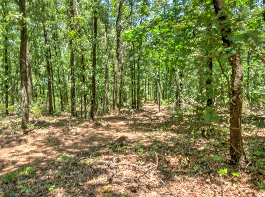 31191 Memorial Rd, Mcloud, OK 74851 photo 5