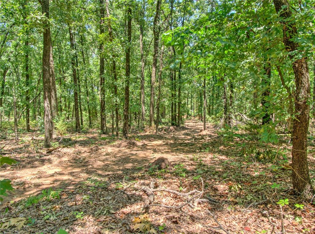 31191 Memorial Rd, Mcloud, OK 74851 photo 6
