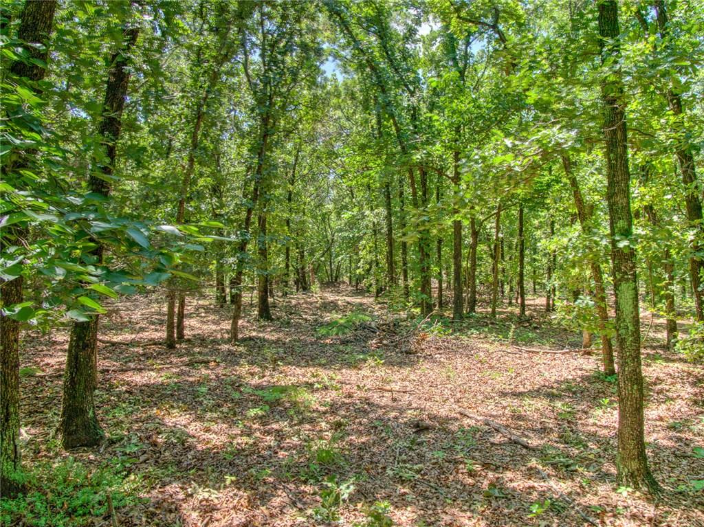 31191 Memorial Rd, Mcloud, OK 74851 photo 10