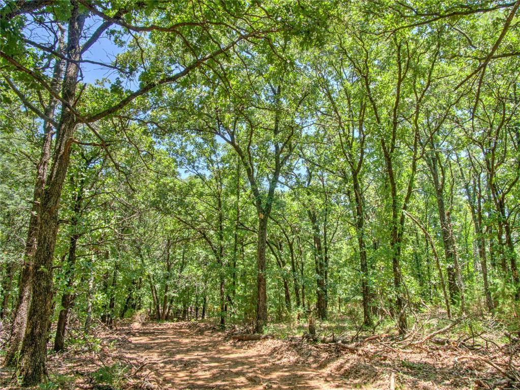 31191 Memorial Rd, Mcloud, OK 74851 photo 8
