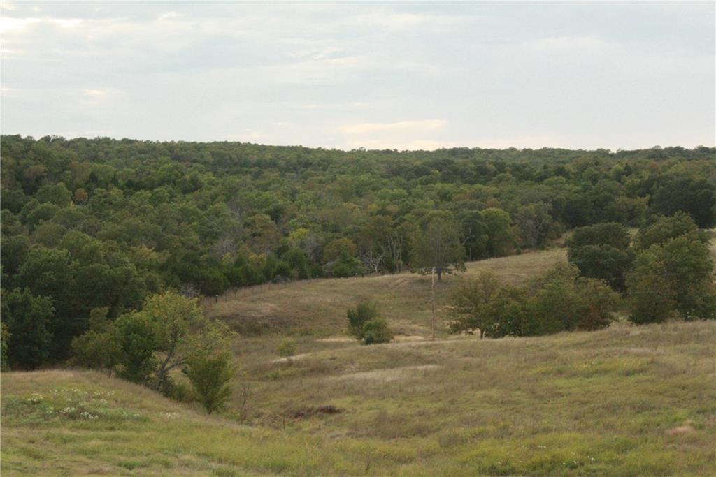 2780 Chickasaw Trl, Davis, OK 73030 photo 29