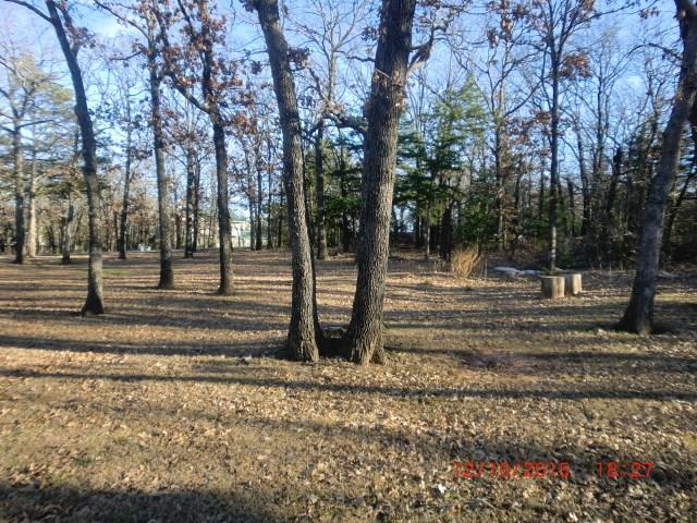 604 Turtle Crk, Tecumseh, OK 74873 photo 5