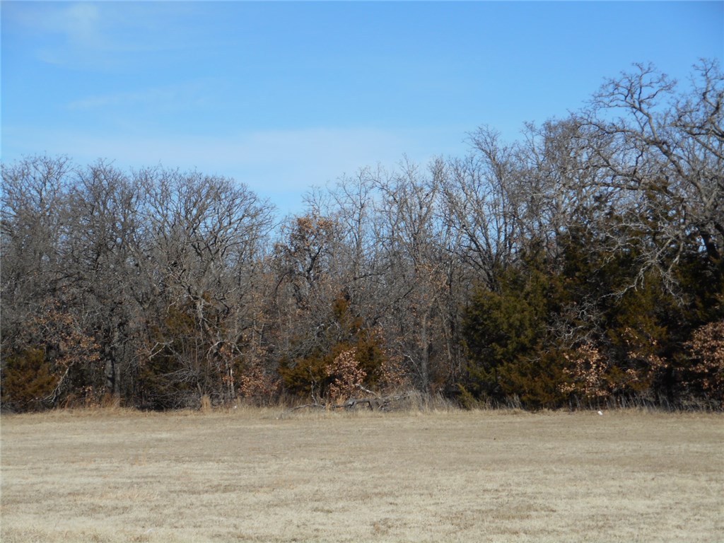 29404 Memorial Rd, Mcloud, OK 74851 photo 18