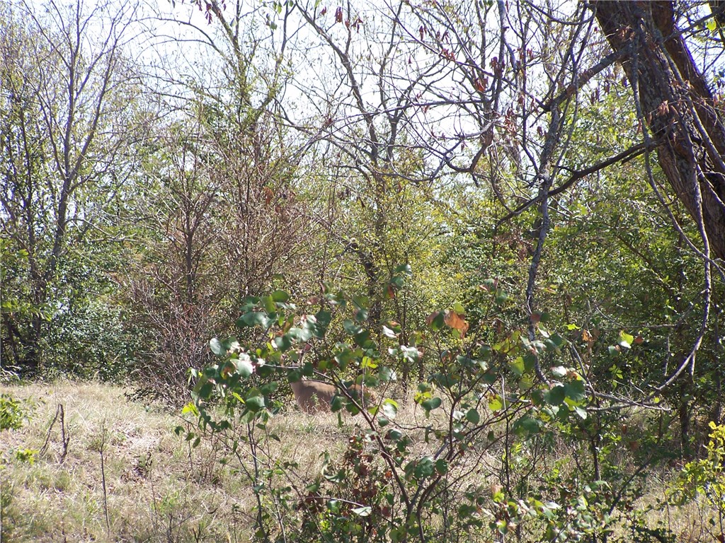 274 Dozer Rd, Springer, OK 73458 photo 8