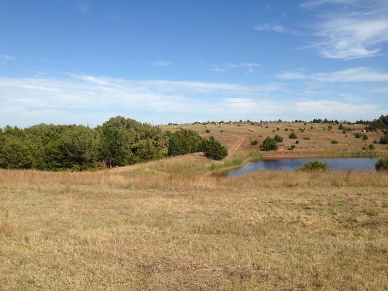 3300 E County Line 75 Rd, Guthrie, OK 73044 photo 6