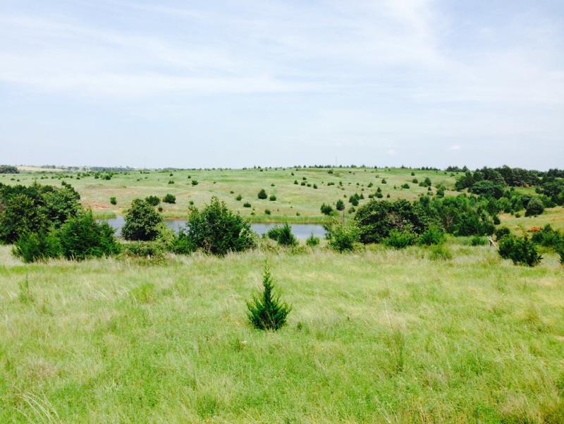 3300 E County Line 75 Rd, Guthrie, OK 73044 photo 4