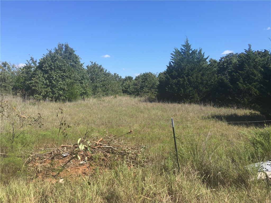 16727 230th St, Blanchard, OK 73010 photo 6
