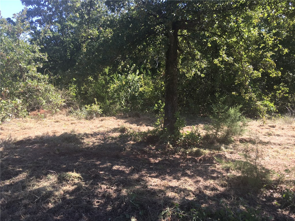 16727 230th St, Blanchard, OK 73010 photo 12
