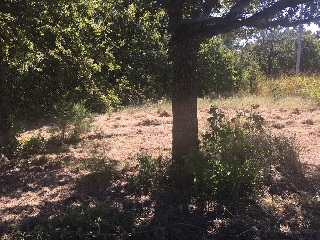 16727 230th St, Blanchard, OK 73010 photo 11