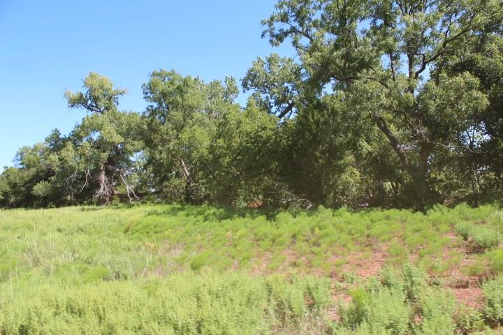 19914 E 990 Rd, Hammon, OK 73650 photo 34
