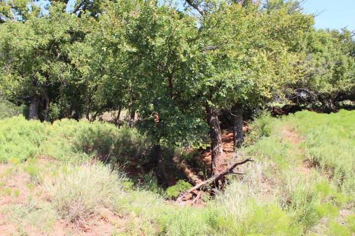 19914 E 990 Rd, Hammon, OK 73650 photo 33
