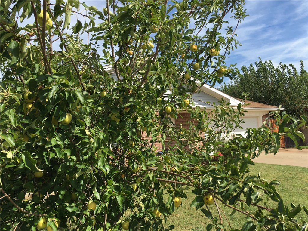 616 Windsor, Altus, OK 73521 photo 33