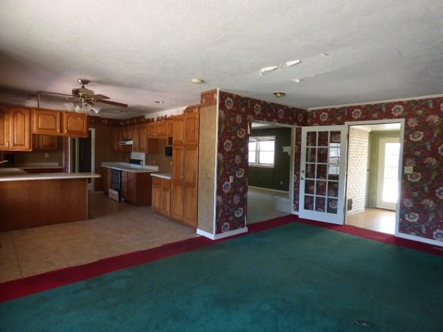 Undisclosed, Frederick, OK 73542 photo 4
