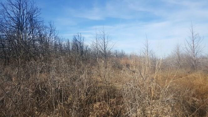 13200 E Post Oak Rd, Noble, OK 73068 photo 9