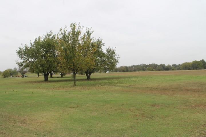 Undisclosed, Lexington, OK 73051 photo 9