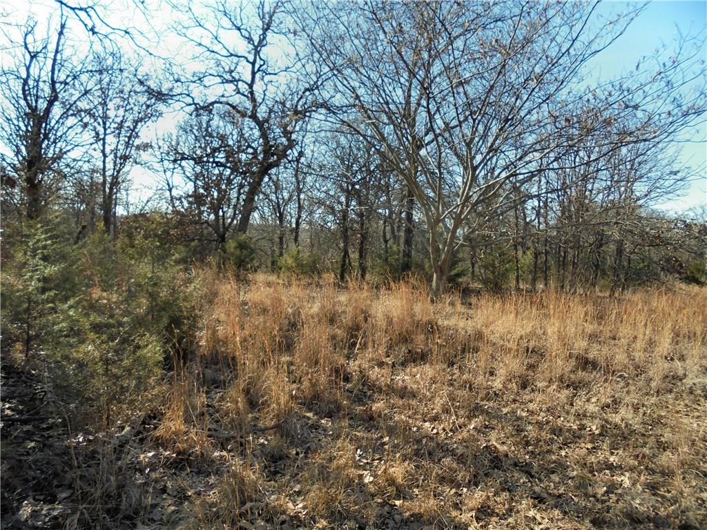 29630 Hamilton Rd, Macomb, OK 74852 photo 5