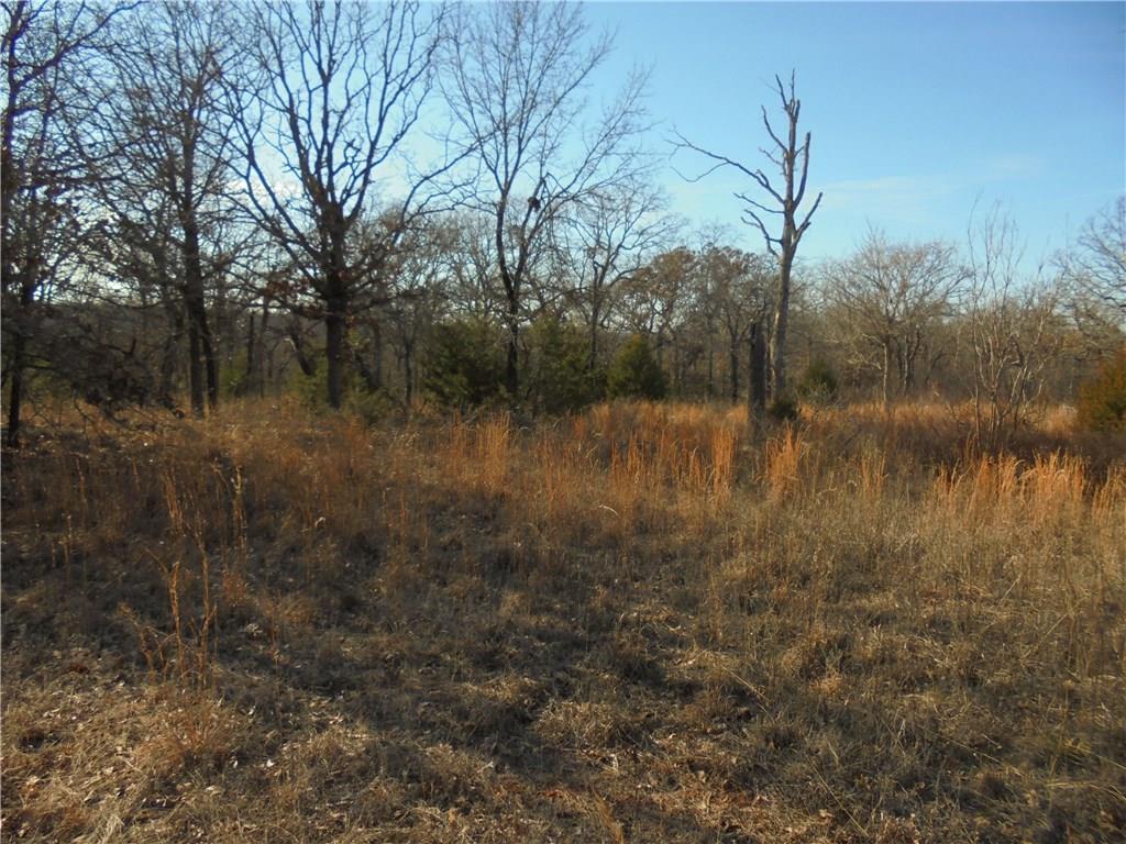 29630 Hamilton Rd, Macomb, OK 74852 photo 6