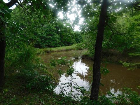 19 E Lake Spgs, Mcloud, OK 74851 photo 17