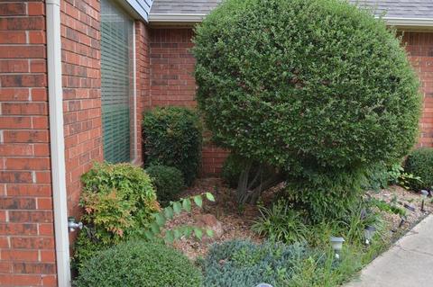 3300 Walnut Rd, Norman, OK 73072 photo 4
