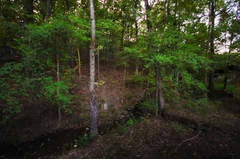 519 Split Shot Cir, Broken Bow, OK 74728 photo 6