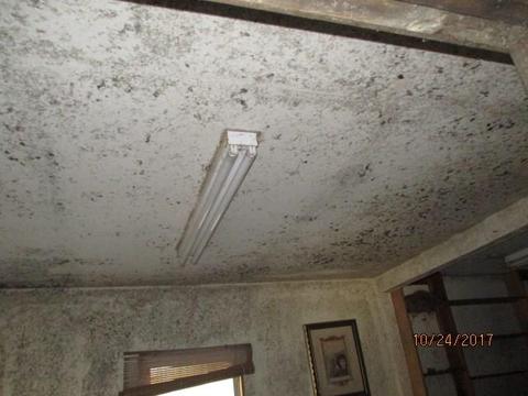 24 Limberlost, Mcloud, OK 74851 photo 15
