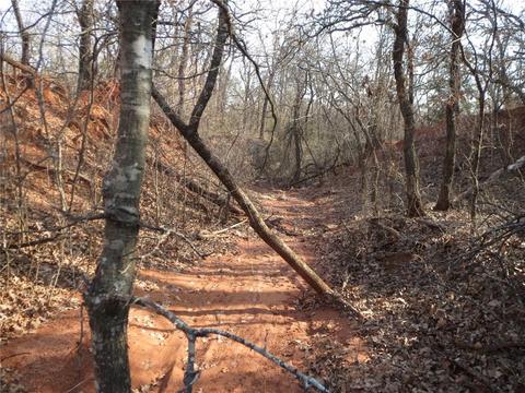 37377 110 St, Wayne, OK 73095 photo 11