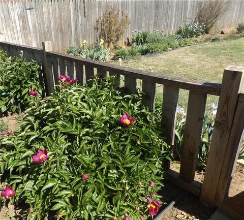 604 Camelot, Altus, OK 73521 photo 21