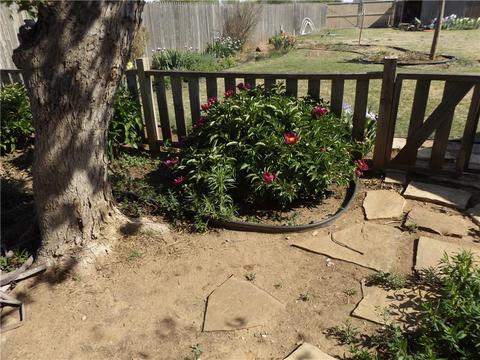 604 Camelot, Altus, OK 73521 photo 19