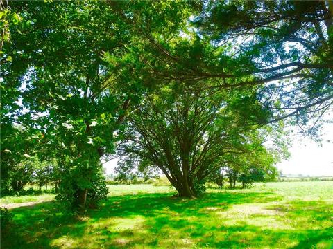 1807 Doris, Tuttle, OK 73089 photo 7