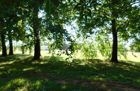 3201 Stone Dr, Tuttle, OK 73089 photo 5