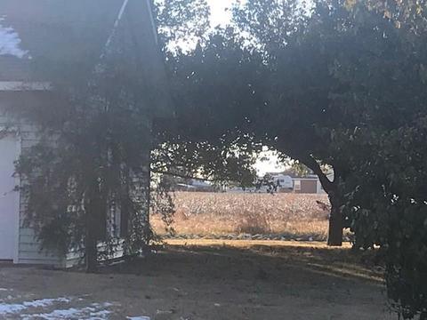 307 S Border Ave, Willow, OK 73673 photo 23
