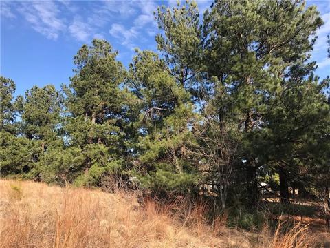 105949 Spring Valley Dr, Mcloud, OK 74851 photo 4