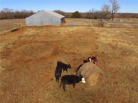 800685 S 3400, Tryon, OK 74875 photo 5