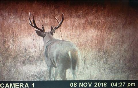 800685 S 3400, Tryon, OK 74875 photo 17