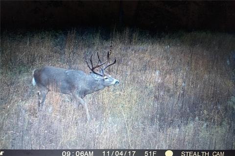 800685 S 3400, Tryon, OK 74875 photo 16
