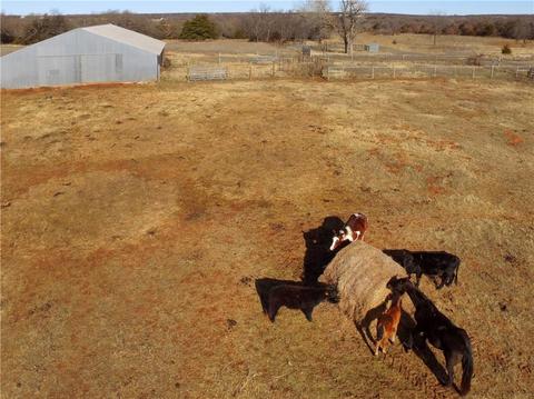 800685 S 3400, Tryon, OK 74875 photo 4