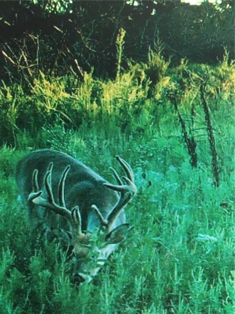 800685 S 3400, Tryon, OK 74875 photo 18