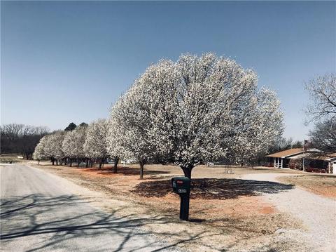 6409 Plum Rose Dr, Tuttle, OK 73089 photo 3