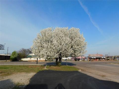 102 E Maple St, Tecumseh, OK 74873 photo 21